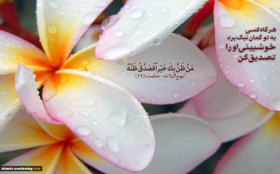 گالری اول  3