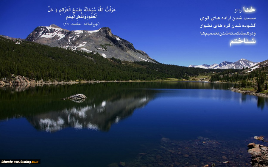 گالری اول  4