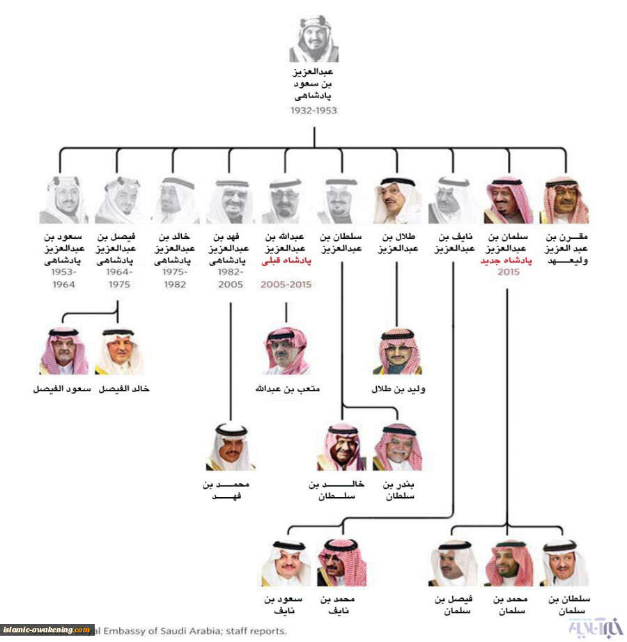 شجره خبیثه عربستان سعودی  + عکس  2