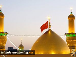 کربلا در روز عرفه +عکس