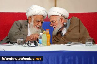 دومین روز برگزاری نهمین اجلاس شورای عالی مجمع جهانی بیداری اسلامی + عکس 2