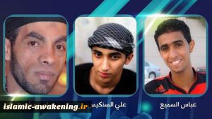 Bahrain executes 3 activists amid public rage