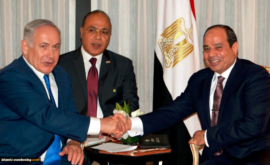 ماذا یعنی فوز السیسی بـ97% فی نتائج انتخابات الرئاسة؟  2