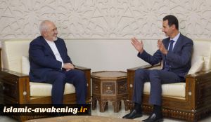 Zarif, Assad say Western pressure will fail to stop Iran-Syria terror fight