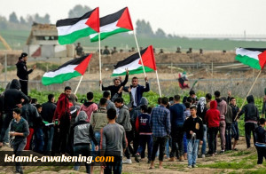 استشهاد طفل وإصابة 41 مواطنًا برصاص الاحتلال شرق غزة