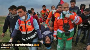 Israeli forces injure 17 Palestinians in Gaza