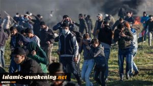 Israeli forces kill 1 Palestinian, wound 42 others in Gaza