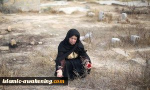 تبرع فریدمان بالضفة لإسرائیل: «صفقة القرن» بالتقسیط!