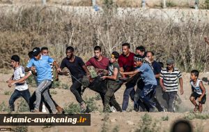 More than 50 Palestinian protesters injured by Israeli forces in Gaza