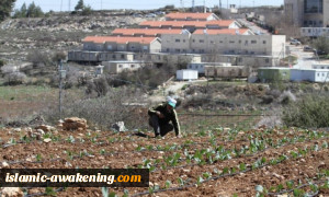 ردود فعل منددة بتصریحات الخارجیة الأمریکیة بشأن مستوطنات الضفة