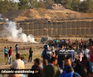 زخمی شدن 137 فلسطینی در هشتاد و سومین راهپیمایی بازگشت