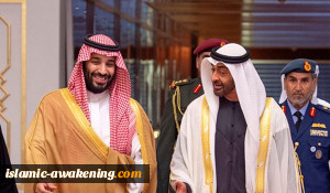 البرلمان الأوروبي يدعو لفرض قيود على تزويد الإمارات والسعودية بالأسلحة