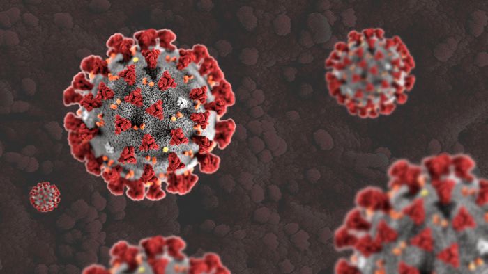 Coronavirus Cases Surpass 15.5 Million Worldwide