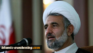 ذوالنوری: اعتراض المقاتلات الامیرکیة للطائرة الایرانیة انتهاک سافر للقوانین الدولیة