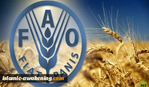 صحیفة بریطانیة: الیمن سیواجه أسوأ مجاعة عام 2020