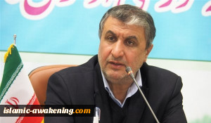 منظمة الطیران المدنی الایرانی ستصدر البیان النهائی لحادثة الطائرة الاوکرانیة المنکوبة