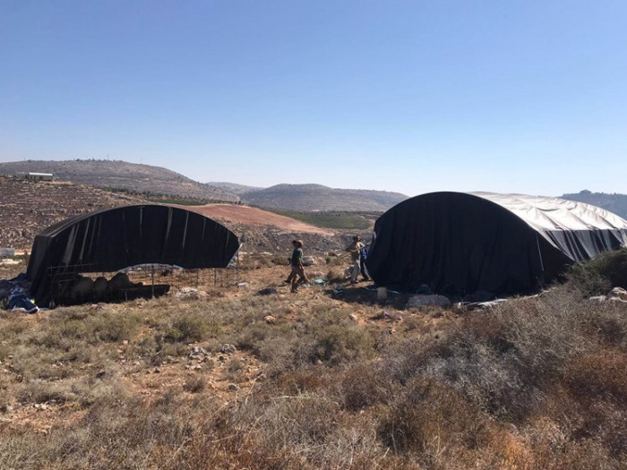 مستوطنون یعتدون على ممتلکات الفلسطینیین فی الضفة الغربیة