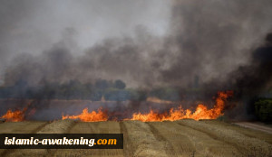 اشتعال حرائق کبیرة فی غلاف غزة بفعل البالونات الحارقة