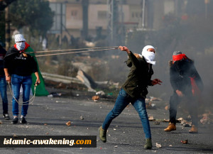 بحمایة من قوات الاحتلال.. استمرار اعتداءات المستوطنین فی الضفة الغربیة