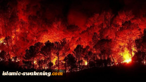 طائرة إیرانیة تنضم إلى مروحیات الجیش السوری لإِخماد الحرائق