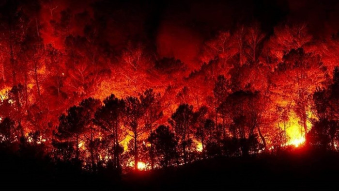 طائرة إیرانیة تنضم إلى مروحیات الجیش السوری لإِخماد الحرائق