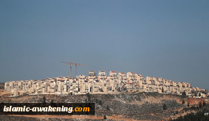 الأمم المتحدة: الاستیطان توسع إلى أکبر قدر له خلال السنوات الأربع الأخیرة