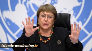 UN rights chief urges France to scrap part of draft security law