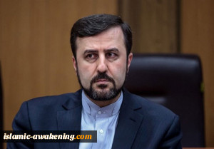 غریب آبادی: الوکالة الدولیة یجب أن تبقى مستقلة وحیادیة ومهنیة