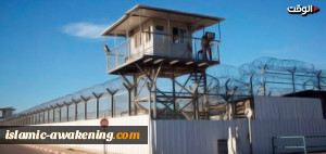 لماذا تتعمّد 