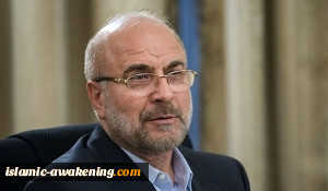 رئیس مجلس الشورى الاسلامی: أولویتنا للمناطق الاقل نموا فی الموازنة العامة للبلاد