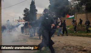 Dozens of Palestinian Farmers Injured, Suffocated while Confronting Israeli Occupation Forces in Nablus