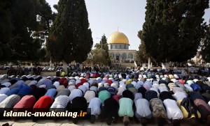 Palestinian Muslims attend Friday prayer at al-Aqsa mosque